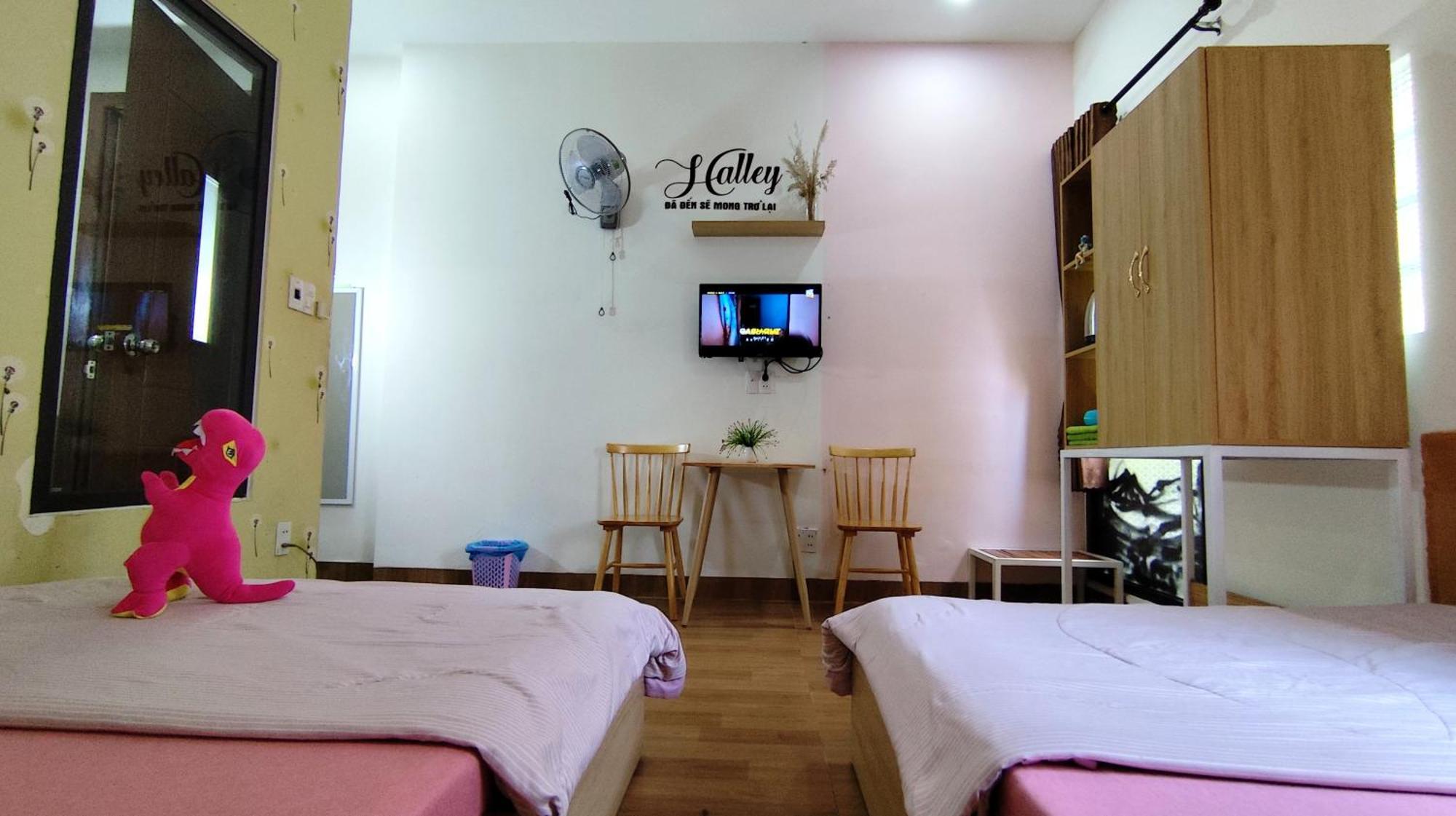 Homestay Halley Da Nang Bagian luar foto
